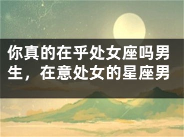 你真的在乎处女座吗男生，在意处女的星座男