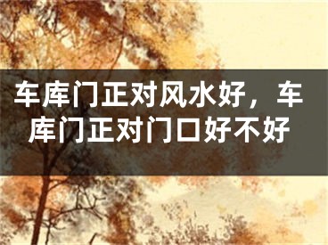 车库门正对风水好，车库门正对门口好不好