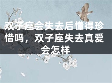 双子座会失去后懂得珍惜吗,双子座失去真爱会怎样