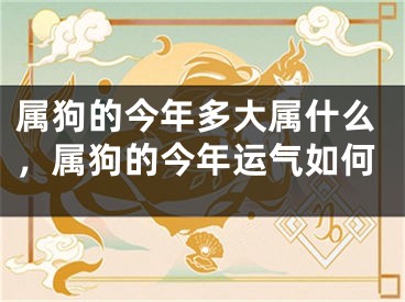 属狗的今年多大属什么,属狗的今年运气如何