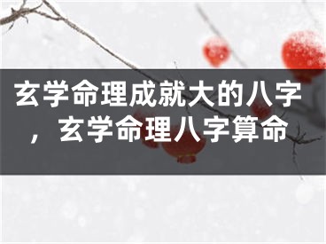 玄学命理成就大的八字,玄学命理八字算命