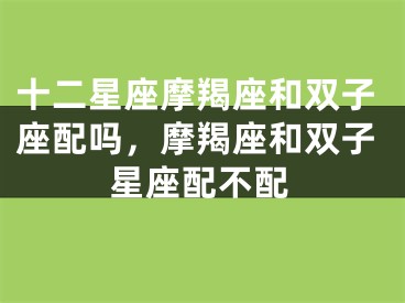 十二星座摩羯座和双子座配吗,摩羯座和双子星座配不配