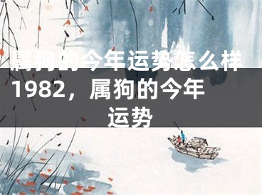 属狗的今年运势怎么样1982,属狗的今年运势