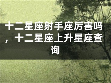 十二星座射手座厉害吗,十二星座上升星座查询