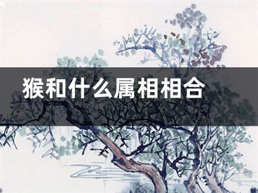 猴和什么属相相合