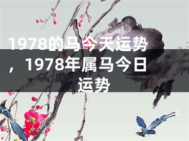 1978的马今天运势，1978年属马今日运势