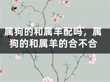 属狗的和属羊配吗,属狗的和属羊的合不合