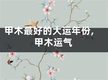 甲木最好的大运年份,甲木运气