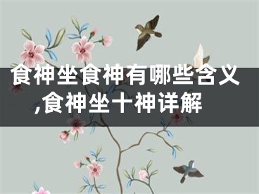 食神坐食神有哪些含义,食神坐十神详解