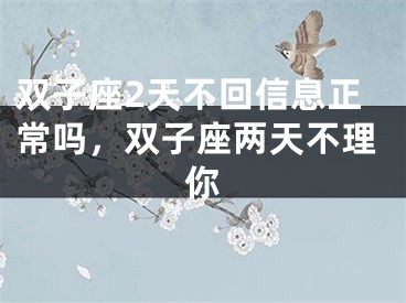 双子座2天不回信息正常吗,双子座两天不理你