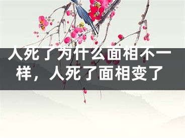 人死了为什么面相不一样,人死了面相变了
