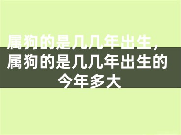 属狗的是几几年出生,属狗的是几几年出生的今年多大
