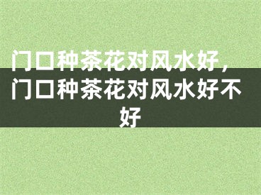 门口种茶花对风水好,门口种茶花对风水好不好