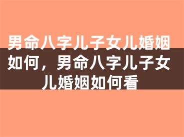 男命八字儿子女儿婚姻如何,男命八字儿子女儿婚姻如何看