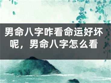男命八字咋看命运好坏呢,男命八字怎么看