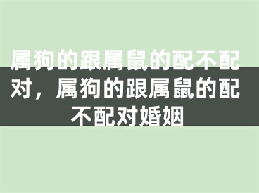 属狗的跟属鼠的配不配对,属狗的跟属鼠的配不配对婚姻