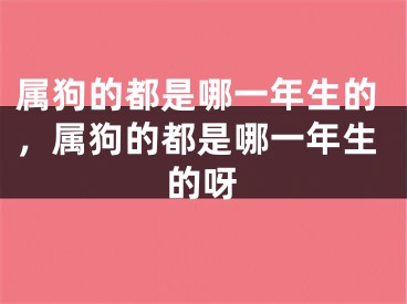 属狗的都是哪一年生的，属狗的都是哪一年生的呀