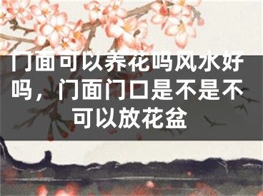 门面可以养花吗风水好吗,门面门口是不是不可以放花盆