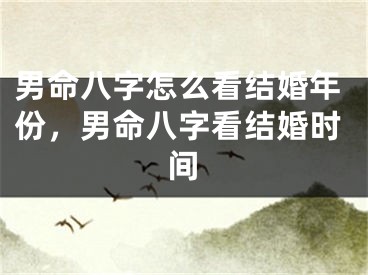男命八字怎么看结婚年份,男命八字看结婚时间