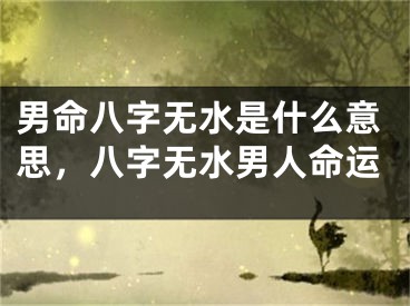 男命八字无水是什么意思，八字无水男人命运