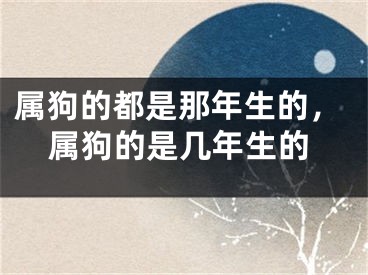 属狗的都是那年生的,属狗的是几年生的