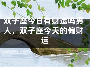 双子座今日有财运吗男人，双子座今天的偏财运