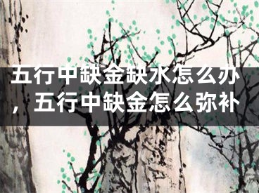 五行中缺金缺水怎么办，五行中缺金怎么弥补