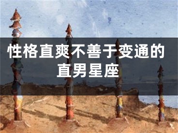 性格直爽不善于变通的直男星座