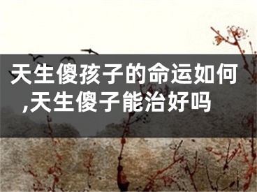 天生傻孩子的命运如何,天生傻子能治好吗