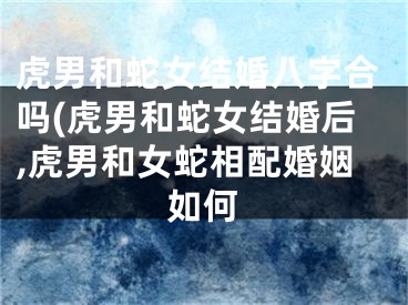 虎男和蛇女结婚八字合吗(虎男和蛇女结婚后,虎男和女蛇相配婚姻如何