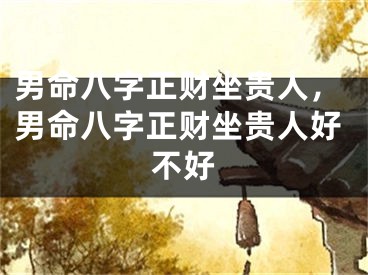 男命八字正财坐贵人,男命八字正财坐贵人好不好