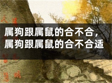 属狗跟属鼠的合不合,属狗跟属鼠的合不合适