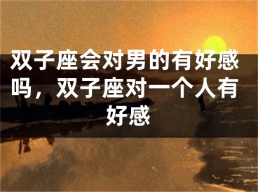 双子座会对男的有好感吗,双子座对一个人有好感
