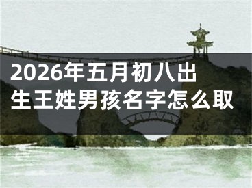 2026年五月初八出生王姓男孩名字怎么取