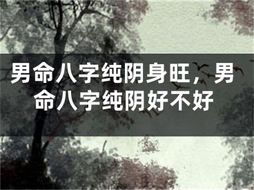 男命八字纯阴身旺，男命八字纯阴好不好