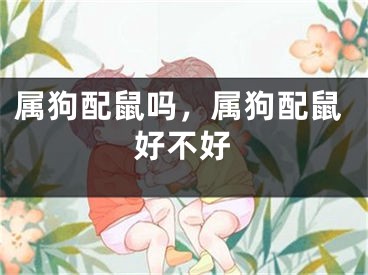属狗配鼠吗,属狗配鼠好不好