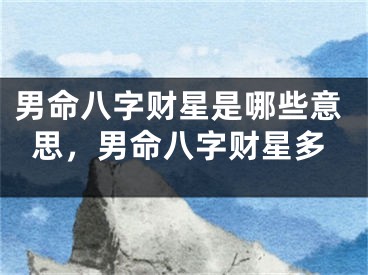 男命八字财星是哪些意思,男命八字财星多