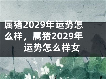 属猪2029年运势怎么样,属猪2029年运势怎么样女