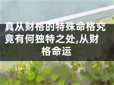 真从财格的特殊命格究竟有何独特之处,从财格命运
