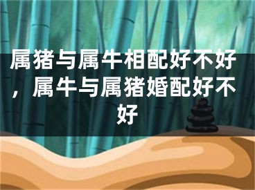 属猪与属牛相配好不好,属牛与属猪婚配好不好