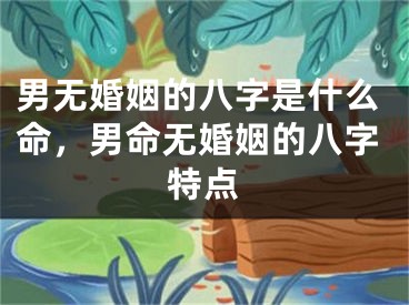 男无婚姻的八字是什么命,男命无婚姻的八字特点