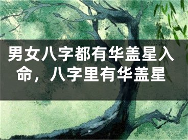 男女八字都有华盖星入命，八字里有华盖星