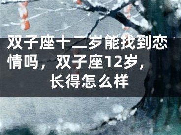 双子座十二岁能找到恋情吗，双子座12岁,长得怎么样