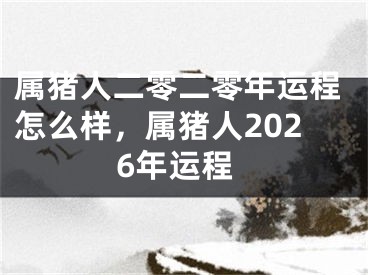 属猪人二零二零年运程怎么样,属猪人2026年运程