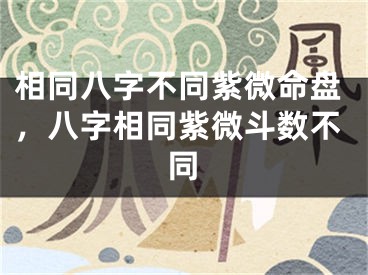相同八字不同紫微命盘，八字相同紫微斗数不同