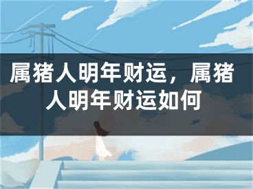属猪人明年财运，属猪人明年财运如何