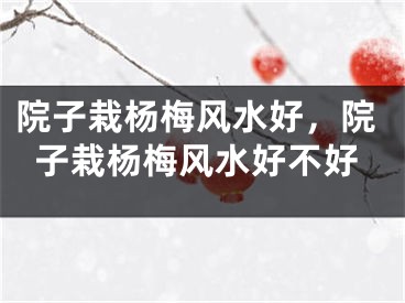 院子栽杨梅风水好，院子栽杨梅风水好不好