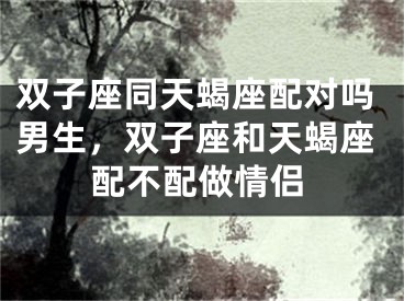 双子座同天蝎座配对吗男生，双子座和天蝎座配不配做情侣