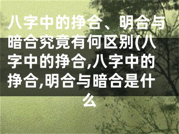 八字中的挣合、明合与暗合究竟有何区别(八字中的挣合,八字中的挣合,明合与暗合是什么