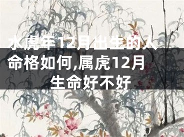 水虎年12月出生的人命格如何,属虎12月生命好不好